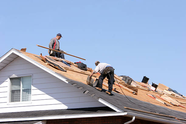 Best Skylight Installation and Repair  in Boulder Hl, IL